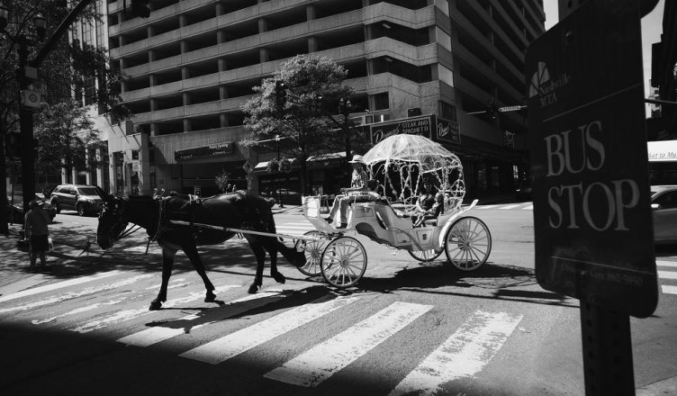 Downtown Horse Carriage